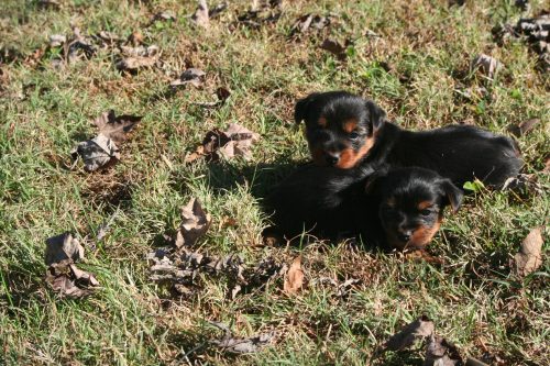 First time outside